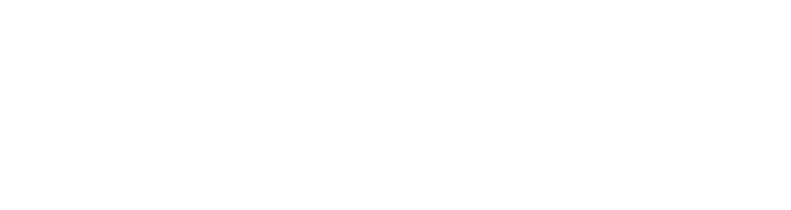 Web Branding HR